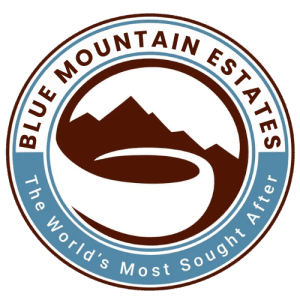 blue_mountain-estates_logo.png blue_mountain-estates_logo.png